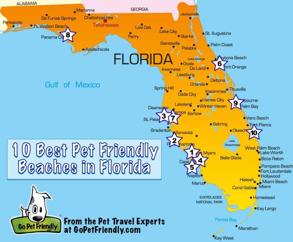 10 Of The Best Pet Friendly Beaches In Florida | Gopetfriendly - Best Beaches Gulf Coast Florida Map
