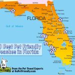 10 Of The Best Pet Friendly Beaches In Florida | Gopetfriendly   Best Texas Beaches Map