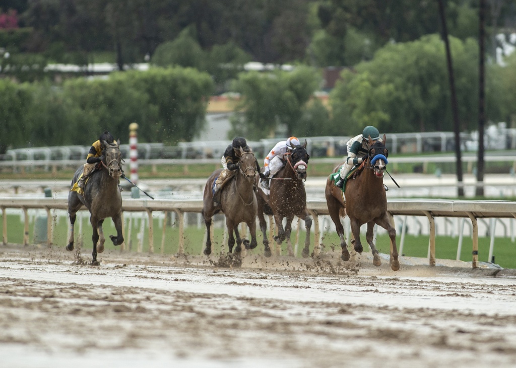 19 Horses Died At California Race Track In Past 2 Months, Rain - Horse Race Tracks In California Map