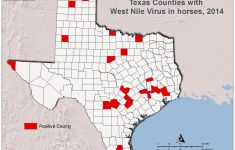 2014 Texas West Nile Virus Maps - Texas Zika Map