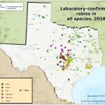 2018 Map Of Rabies   Texas A&m Veterinary Medical Diagnostic Laboratory   Aaa Texas Maps
