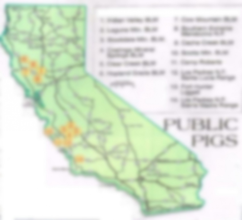 2019 California Public Land Pig Hunting, Reports Plus Maps Blm And - Blm Land Map Southern California