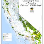 40Th Anniversary Dinner Recap – California Wilderness Coalition   California Wilderness Map