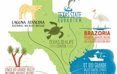 5 Texas Cities Where You Can Discover Your Inner Science Geek - Texas State Aquarium Map