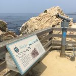 A Tour Of The 17 Stops On 17 Mile Drive   17 Mile Drive California Map