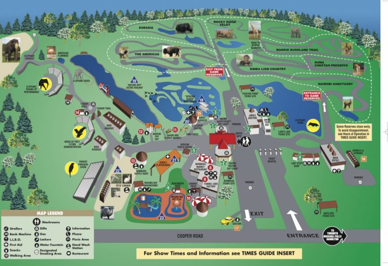 African Lion Safari Lanner Falcon African Lion Safari Lion Country