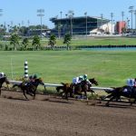 After Horse Racing Stops At Los Alamitos, What Happens To The 170   Horse Race Tracks In California Map