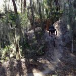Alafia River State Park Mountain Bike Trail In Brandon, Florida   Florida Mountain Bike Trails Map