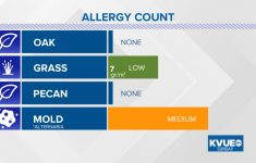 Allergy In Austin | Kvue - Allergy Map Texas