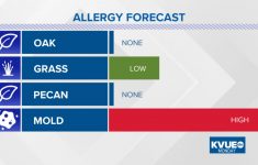 Allergy In Austin | Kvue - Allergy Map Texas