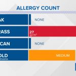 Allergy In Austin | Kvue   Pollen Map Texas