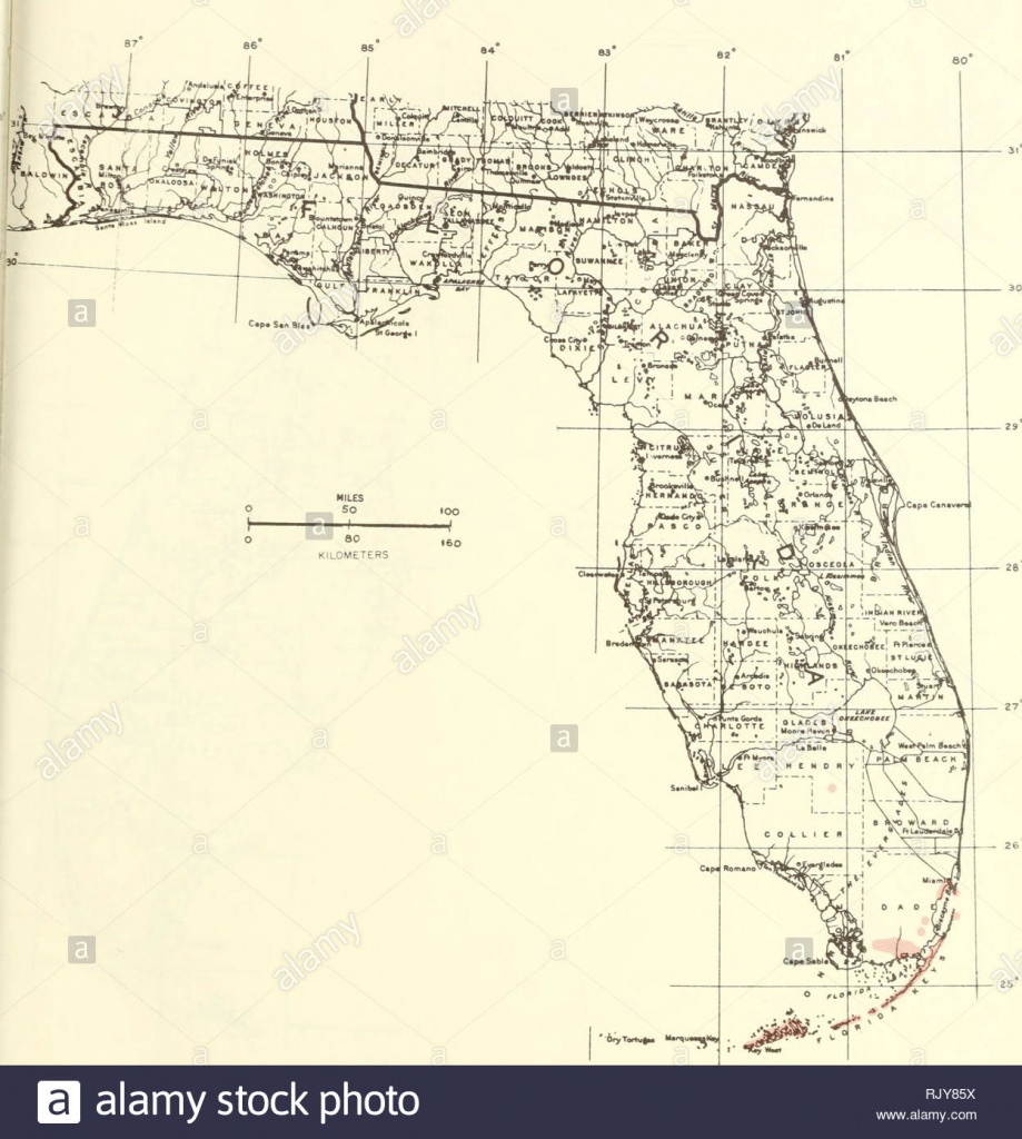 Atlas Of United States Trees: Volume 5. Florida. Trees. Map 174 - Florida Pollen Map