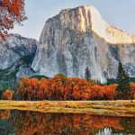 Autumn Leaves In California | Visit California   California Fall Color Map