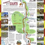 Avenue Of The Giants Map | Sustrainability   Avenue Of The Giants California Map