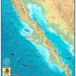 Baja Wall Map   Baja California Topographic Maps