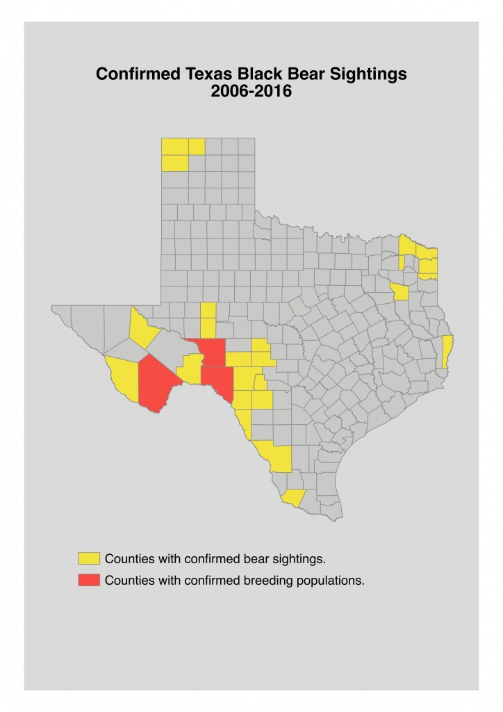 Bear Safety For Hunters In Texas - Texas Public Deer Hunting Land Maps