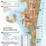 Bicycling On Amelia Island   Amelia Island, Florida | Travel In 2019   Amelia Island Florida Map