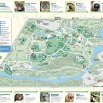 Bronx Zoo   Maplets   Bronx Zoo Map Printable