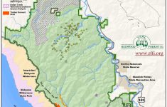 california coastal redwood parks with redwoods map touran redwoods northern california map California Coastal Redwood Parks With Redwoods Map - Touran - Redwoods Northern California Map