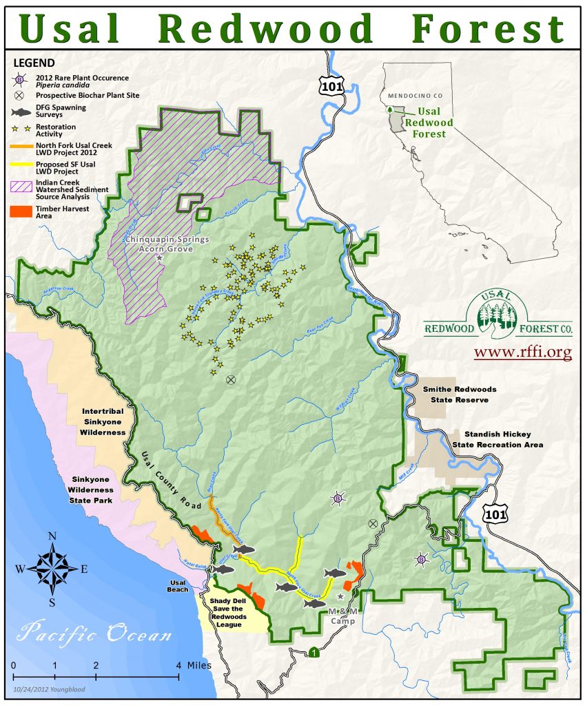 California Coastal Redwood Parks With Redwoods Map Touran Redwoods Northern California Map 849x1024 