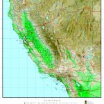 California Elevation Map   Topo Map Of California