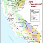 California   Herd Management Areas | Bureau Of Land Management   Blm Land Map California