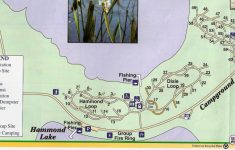 Campground Map - Lake Louisa State Park - Cleremont - Florida - Florida ...