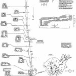 Caveatlas » Cave Diving » United States » Twin Caves   Florida Cave Diving Map