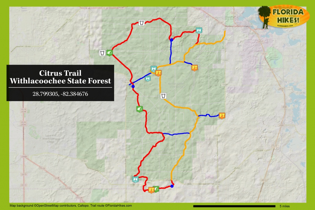 Citrus Hiking Trail | Florida Hikes! - Florida Trail Maps Download
