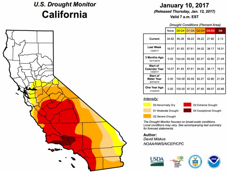 Signs of drought in Los Angeles | Drought, Los angeles, Angel