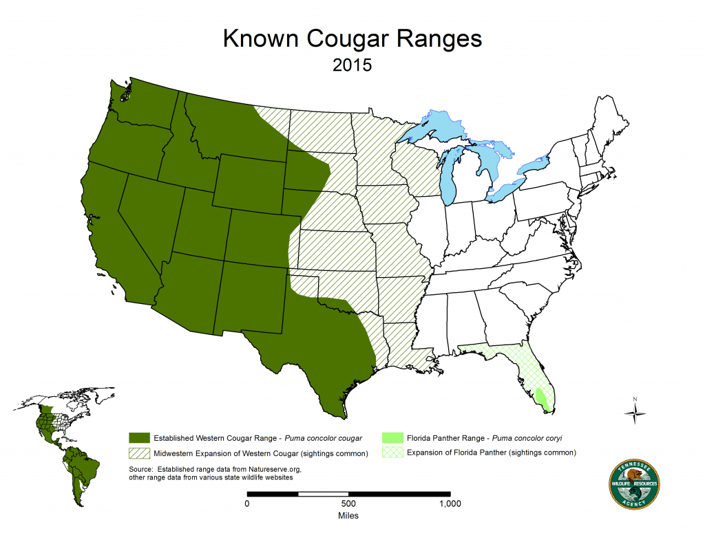 Cougars In Tennessee | State Of Tennessee, Wildlife Resources Agency - Mountain Lions In Texas Map