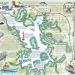 Crystal River's Spring Maps | The Souvenir Map & Guide Of Kings Bay   Florida Springs Diving Map