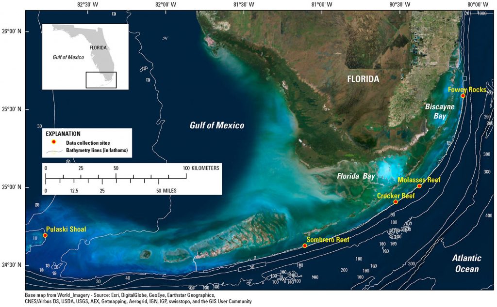 Data Release Underwater Temperature - Data Release Underwater Temperature On Off Shore Coral Reefs Of Coral Reefs In Florida Map 1024x634