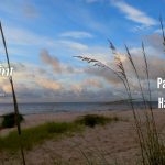 Discover The New Paul Parker Team At Harbor Point Realty   Alligator Point Florida Map