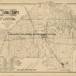 Duval Florida Maps | 1884 Large Land Ownership Map Duval County   Historic Florida Maps