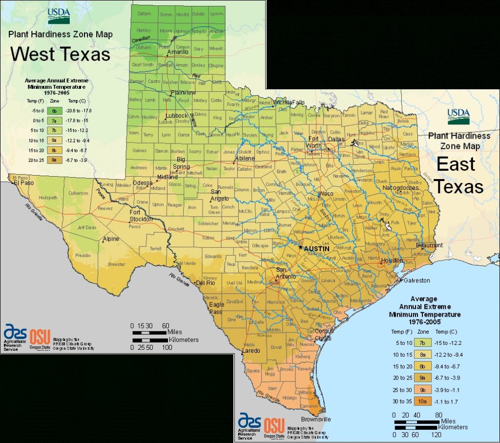 Earth–Kind® Plant Selector - Texas Hardiness Zone Map | Printable Maps