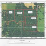 East Texas Land For Sale   Texas Land For Sale Map
