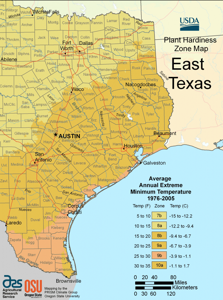 East Tx Map And Travel Information | Download Free East Tx Map - Map Of East Texas With Cities