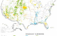 Entisols Map | Nrcs Soils - Florida Soil Types Map