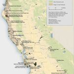 Esri Arcwatch October 2010   Conserving Earth's Gentle Giants   Where Is The Redwood Forest In California On A Map