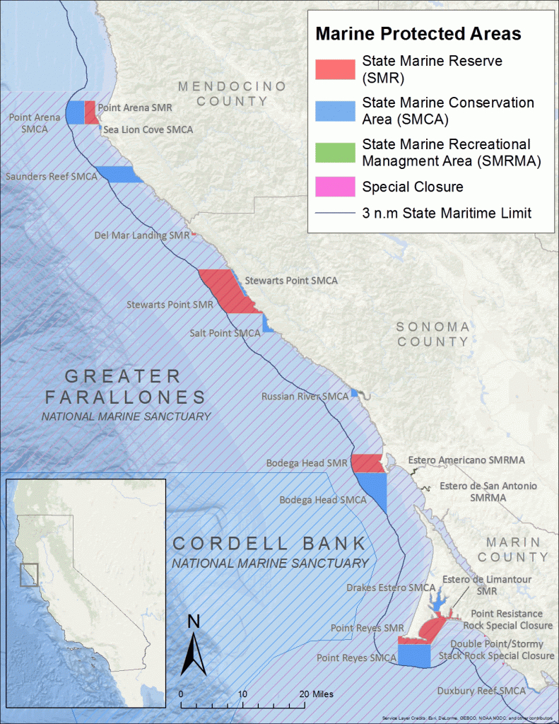 Exploring California&amp;#039;s Marine Protected Areas: Point Arena State - California Marine Protected Areas Map