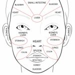 Face Mapping For Acne   The Ultimate Guide   Printable Body Maps