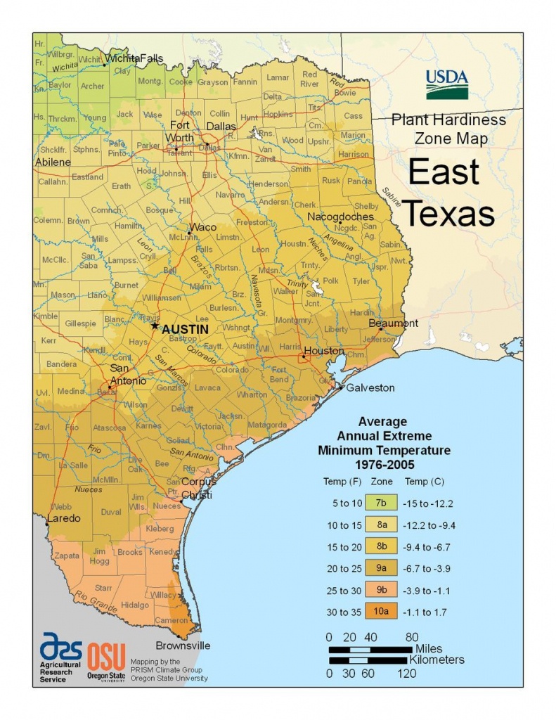 Find Your Usda Zone With These State Maps | Gardening | Texas - Usda Zone Map Texas