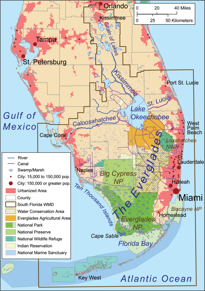 Giant Florida Map