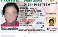 Florida Driver Licenses To Get New Design - Sexual Predator Map Florida