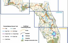 Florida National Scenic Trail - About The Trail - Central Florida Bike Trails Map