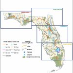 Florida National Scenic Trail   About The Trail   Florida Hiking Trails Map
