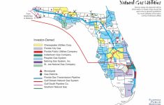 Florida Natural Gas Utilities · Avalon Energy - Florida City Gas Service Area Map