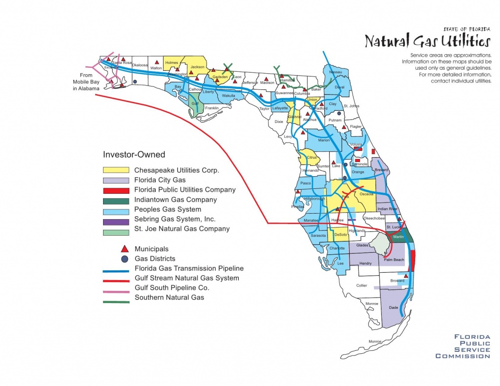Florida Natural Gas Utilities · Avalon Energy - Florida City Gas Service Area Map