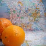 Florida Oranges Stock Photos & Florida Oranges Stock Images   Alamy   Where Are Oranges Grown In Florida Map